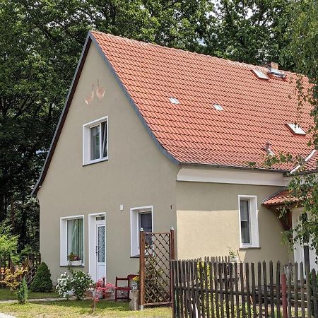 Helenes Ferienwohnung Auf Dem Bauernhof - Lausitzer Seenland Lauta Екстериор снимка