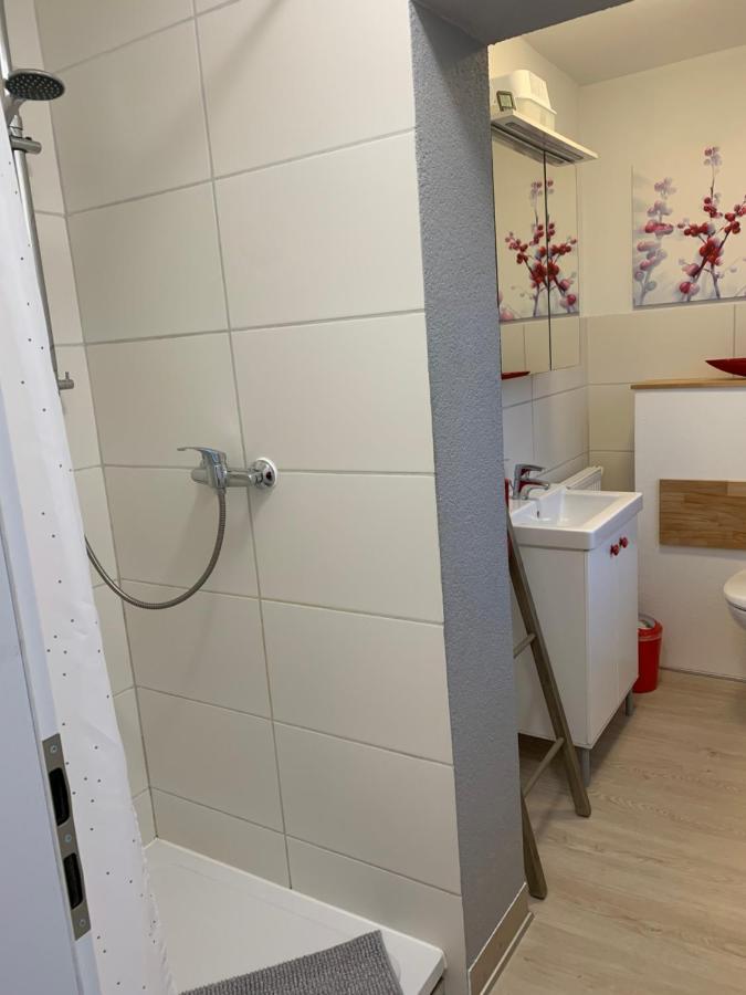 Helenes Ferienwohnung Auf Dem Bauernhof - Lausitzer Seenland Lauta Екстериор снимка